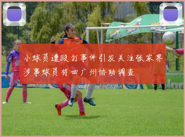 小球员遭殴打事件引发关注张家界涉事球员将回广州协助调查